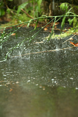 Rainy puddle outdoors