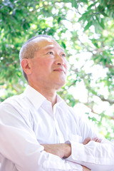 シニア　男性　新緑