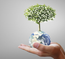 Globe ,earth in human hand, hand holding our planet earth glowin