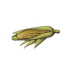 Corn retro icon.
