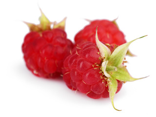 Ripe red raspberries isolated on white