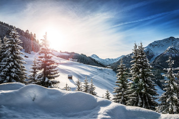 Winter in the Alps - obrazy, fototapety, plakaty