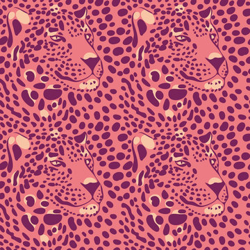 leopard 1_1