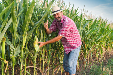 Farmer