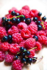 colorful background of mix ripe berries