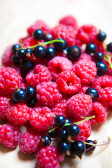 colorful background of mix ripe berries