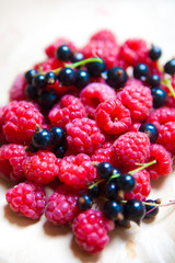 colorful background of mix ripe berries
