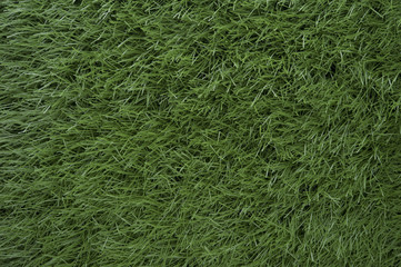 grass