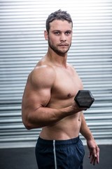 Obraz premium Portrait of muscular man lifting dumbbells