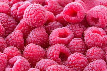 Himbeeren