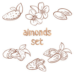 almonds