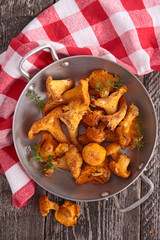 mushroom, chanterelle