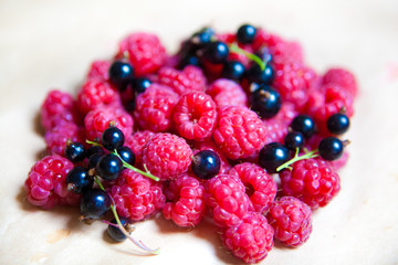 colorful background of mix ripe berries