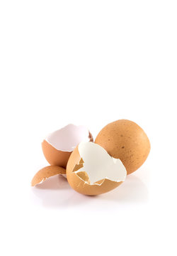 Eggs shell isolated on a white background