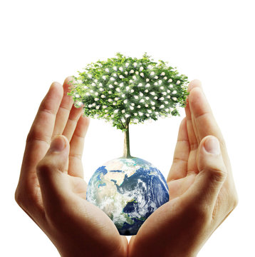 Globe ,earth in human hand, hand holding our planet earth glowin