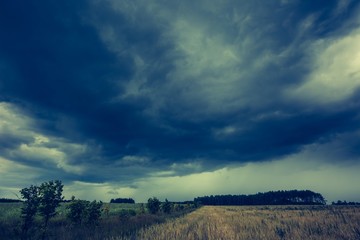 Vintage photo of dark stormy clouds over corn field