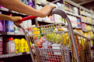 woman buy products with her trolley 