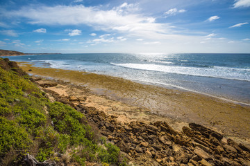 Fototapeta na wymiar Surf coast Victoria 