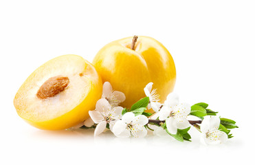 Plums isolated on white background