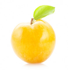 Plums isolated on white background