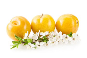 Plums isolated on white background