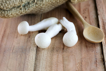 Mushrooms and wooden spoon.