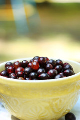 Red gooseberry in cup on wooden table close-up outdoors