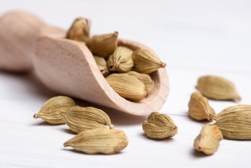 Cardamom
