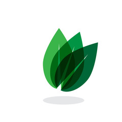 Leaf icon