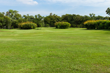 green grass field in public park - 87892389