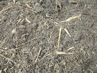 Soil texture background