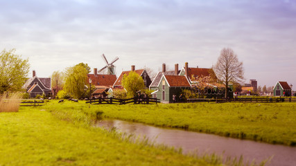 Fototapeta premium Windmill and rural houses in Zaanse Schans. Tilt-shift effect.