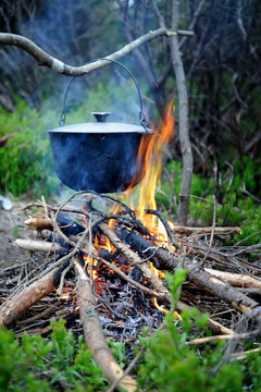 Cooking in the nature