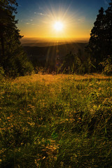 Sonnenuntergang auf der Wiese