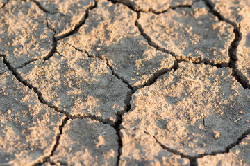 Dry cracked soil in the summer closeup 