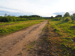 Fototapeta na wymiar road in the village in summer