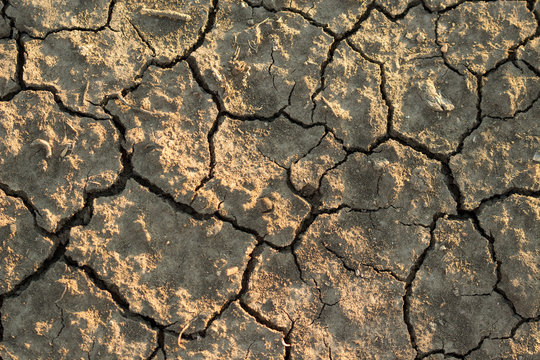 Dry cracked soil in the summer closeup 