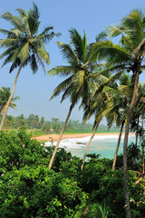 Obraz premium Tropical beach