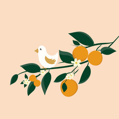 Little bird on orange fruits branch.