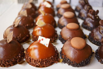 Chocolate truffles/Chocolate balls decorated with sprinkles at the bottom.Delicious candy.Very shallow depth of field for soft background.