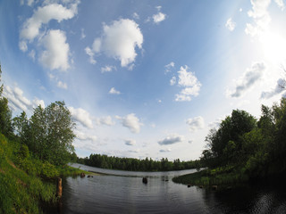 Fototapeta premium river in summer