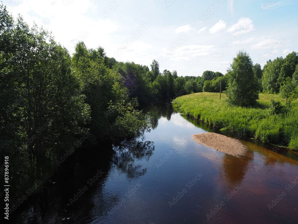 Canvas Prints river in summer