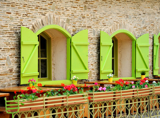 Fototapeta na wymiar Wooden green house windows and flowers