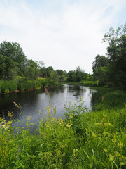 Obraz na płótnie Canvas river in summer