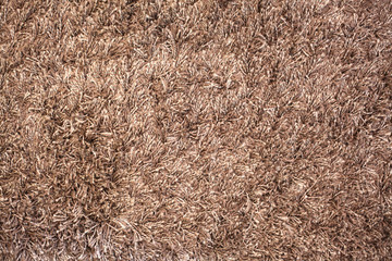 Carpet