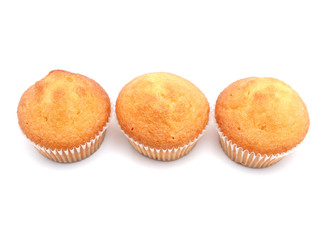 cupcakes on a white background