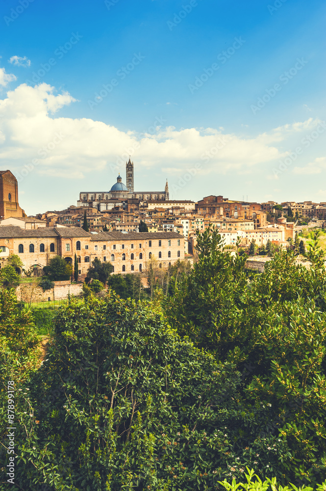 Wall mural The medieval city of Siena in southern Tuscany, Italy