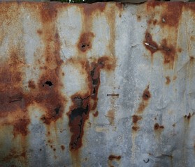 Old rusted corrugated zinc sheet wall background