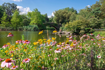 Central Park Garden View
