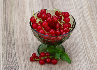 Red currant